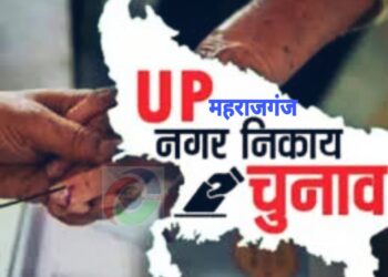 महराजगंज: जनपद में 5 बजे तक कुल 62.13% हुआ मतदान, घुघली में सबसे अधिक तो आनंदनगर में सबसे कम पोल हुआ वोट