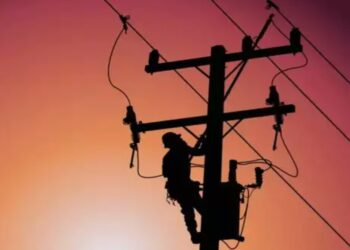 दिन में लाइनमैन, रात में बन जाता होमगार्ड… दो-दो विभागों से लेता रहा पूरी सैलरी, 8 साल बाद खुला राज