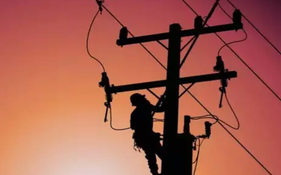 दिन में लाइनमैन, रात में बन जाता होमगार्ड… दो-दो विभागों से लेता रहा पूरी सैलरी, 8 साल बाद खुला राज