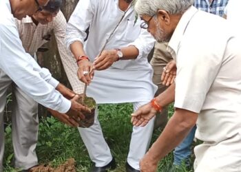 Nautanwa तहसील परिसर में पौधरोपित कर बोले भाजपा नेता जितेंद्र ‘संतान की भांति पौधों की करें रक्षा’