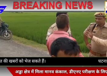 नौतनवां क्षेत्र के एक सीवान में मिला नर कंकाल, क्षेत्र में फैली सनसनी, पुलिस टीम मौके पर पहुंच जांच में जुटी