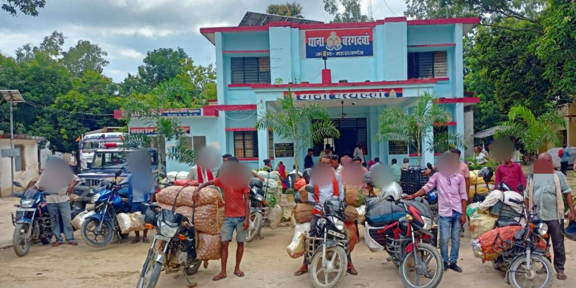 बरगदवा पुलिस ने अभियान चला कर पकड़े सब्जियों की खेप, 15 बाइक और 43 बोरी सब्जियों के साथ 15 गिरफ्तार