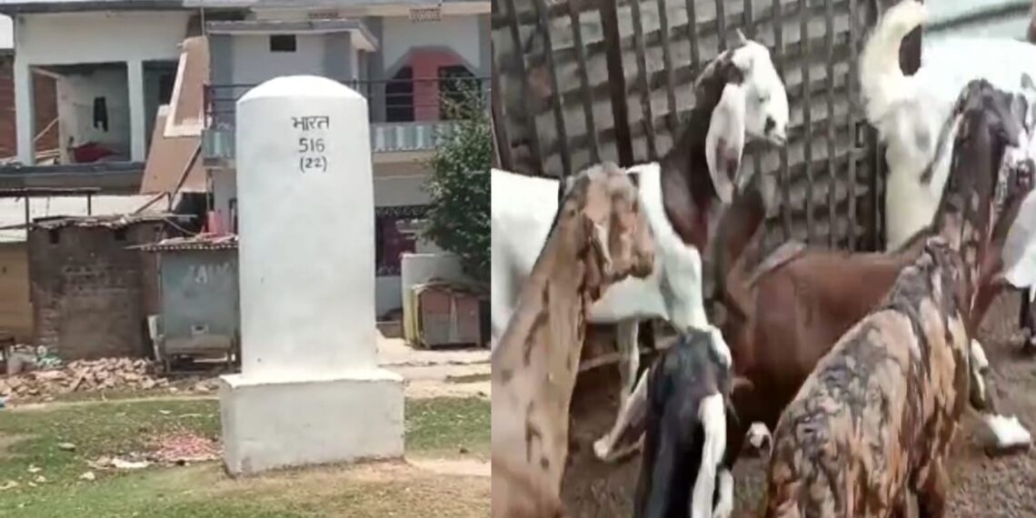 महराजगंज: बॉर्डर पर बकरियों की तस्करी पर हीलाहवाली करनी पड़ी भारी, थानाप्रभारी, उपनिरीक्षक सहित पुलिसकर्मी सस्पेंड