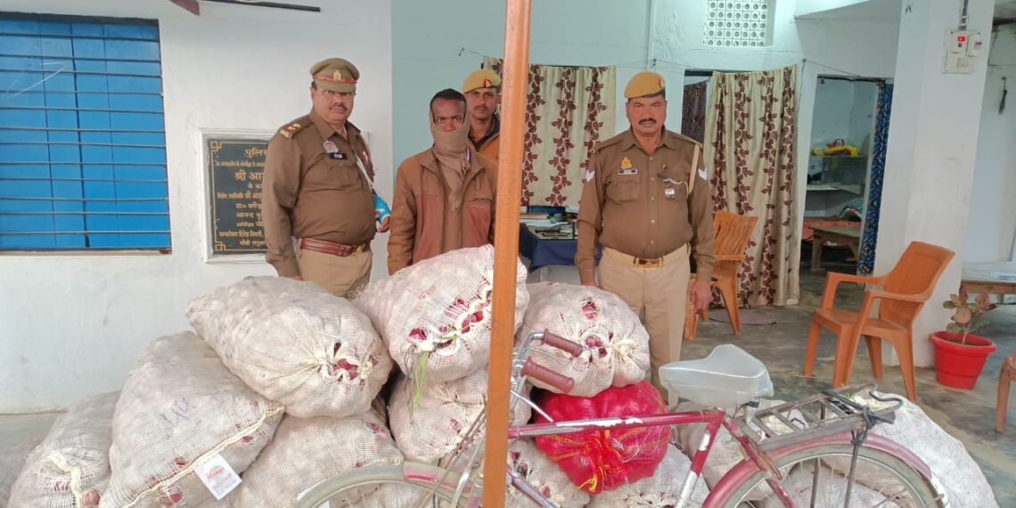 सोनौली: पगडंडियों के रास्ते नेपाल ले जा रहे 21 बोरी प्याज के साथ एक गिरफ्तार