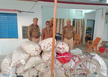 सोनौली: पगडंडियों के रास्ते नेपाल ले जा रहे 21 बोरी प्याज के साथ एक गिरफ्तार