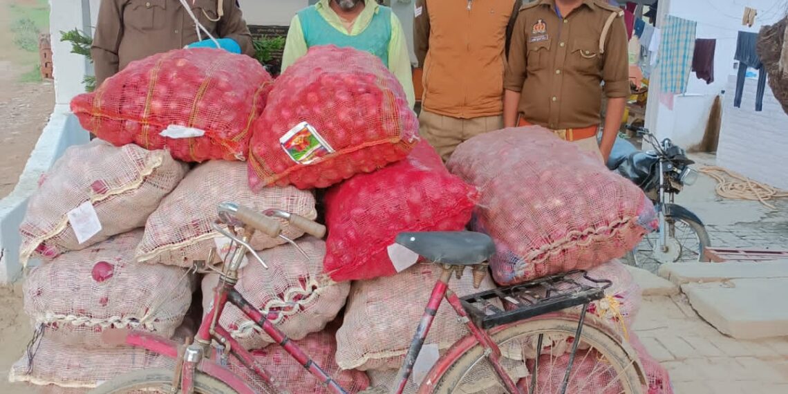 सोनौली पुलिस ने 18 बोरी प्याज के साथ एक अभियुक्त को किया गिरफ्तार