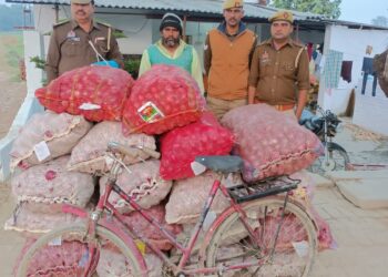 सोनौली पुलिस ने 18 बोरी प्याज के साथ एक अभियुक्त को किया गिरफ्तार