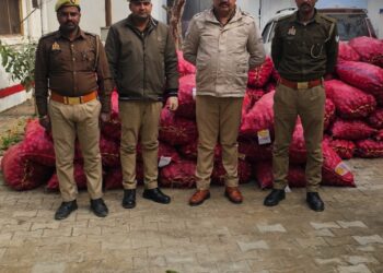तस्करी कर नेपाल जाने वाली 130 बोरी प्याज सोनौली पुलिस ने किया बरामद