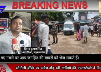 सोनौली बॉर्डर पर अवैध दौड़ रही गाड़ियों को एआरटीओ ने किया सीज, रात भर चली कार्यवाही