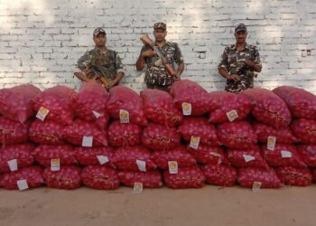 सोनौली: रात में 12 बजे हो रही प्याज की तस्करी पर एसएसबी ने फेरा पानी, 40 बोरी प्याज छोड़कर भागे तस्कर
