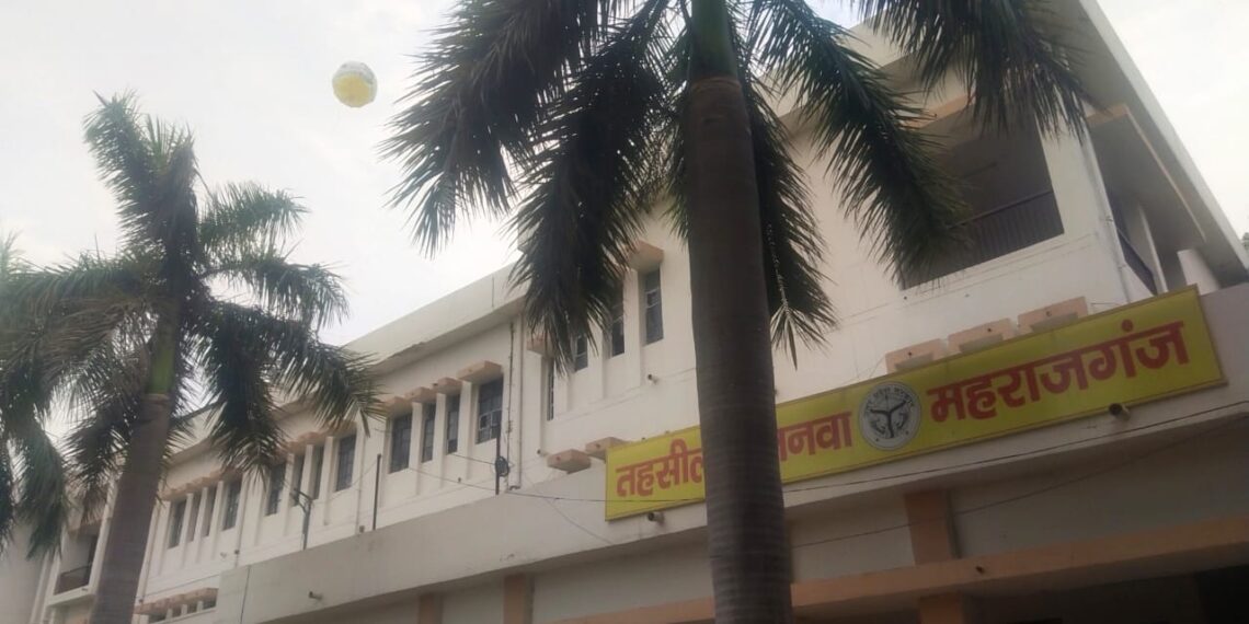 नौतनवा तहसील में “मगरू राजा” का बलून लगाया गया, 100% मतदान के उद्देश्य से