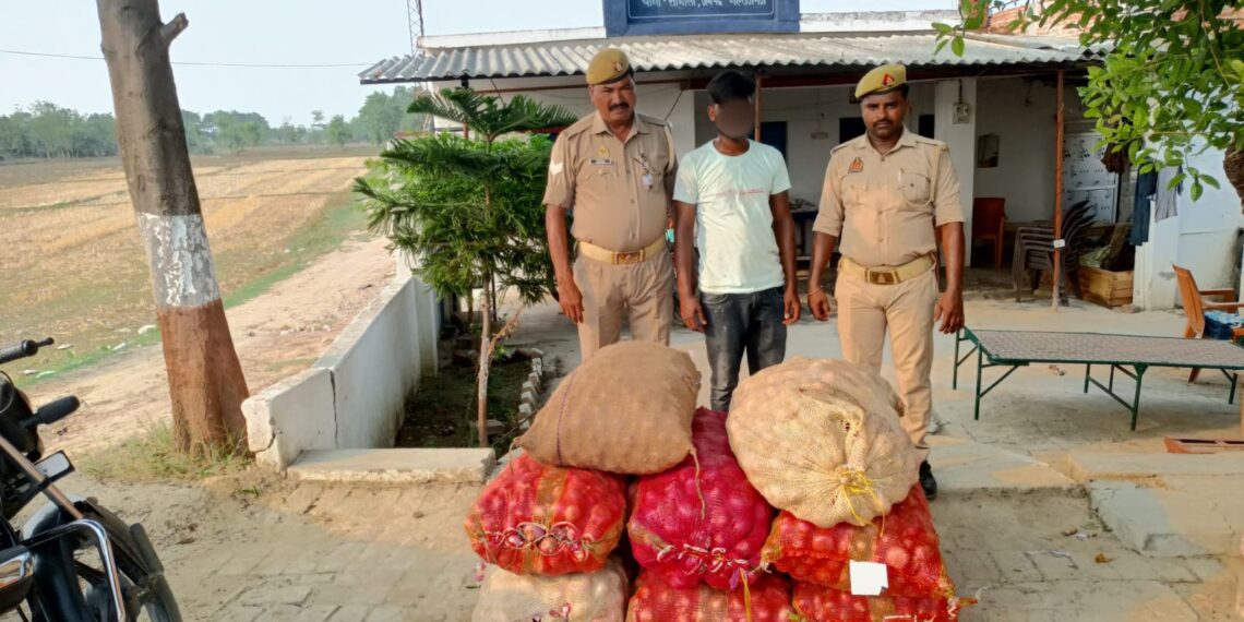 सोनौली पुलिस ने 8 बोरी प्याज के साथ एक को किया गिरफ्तार, 6 बोरी लावारिस यूरिया भी बरामद