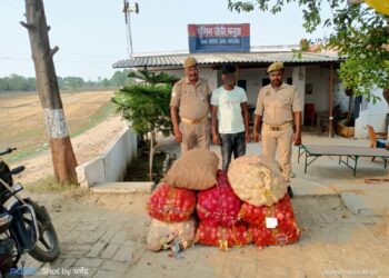 सोनौली पुलिस ने 8 बोरी प्याज के साथ एक को किया गिरफ्तार, 6 बोरी लावारिस यूरिया भी बरामद