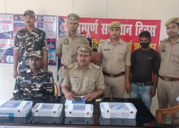 प्रतिबंधित दवाओं के साथ सोनौली सीमा क्षेत्र का युवक गिरफ्तार, भेजा गया जेल