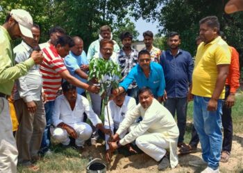 विश्व पर्यावरण दिवस पर विशेष पहल:एक वृक्ष मां के समान थीम पर नौतनवा ब्लॉक प्रमुख ने किया पौधारोपण
