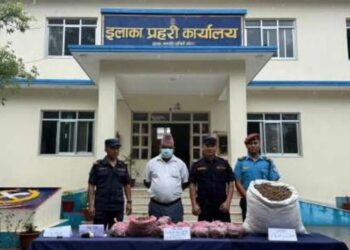 सोनौली: रुद्राक्ष और जड़ीबूटी के साथ एक गिरफ्तार