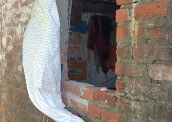 अड्डा बाजार में दिनदहाड़े मुर्गी फार्म में चोरी, पुलिस जांच में जुटी