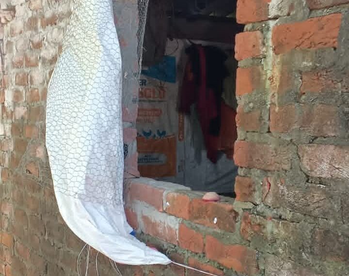 अड्डा बाजार में दिनदहाड़े मुर्गी फार्म में चोरी, पुलिस जांच में जुटी