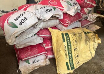 22 बोरी विदेशी मक्का बरामद सीज