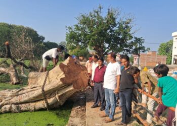 नौतनवा। नगर पालिका अध्यक्ष ने छट्ठ घाट पर पहुंच लिया साफ-सफाई व लाइटिंग सुविधाओं का जायजा