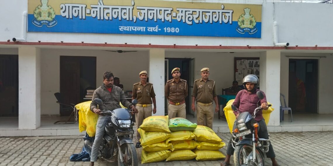 नौतनवा में यूरिया खाद तस्करी पकड़ी गई,17 बोरी खाद और दो मोटरसाइकिल के साथ दो गिरफ्तार