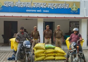 नौतनवा में यूरिया खाद तस्करी पकड़ी गई,17 बोरी खाद और दो मोटरसाइकिल के साथ दो गिरफ्तार