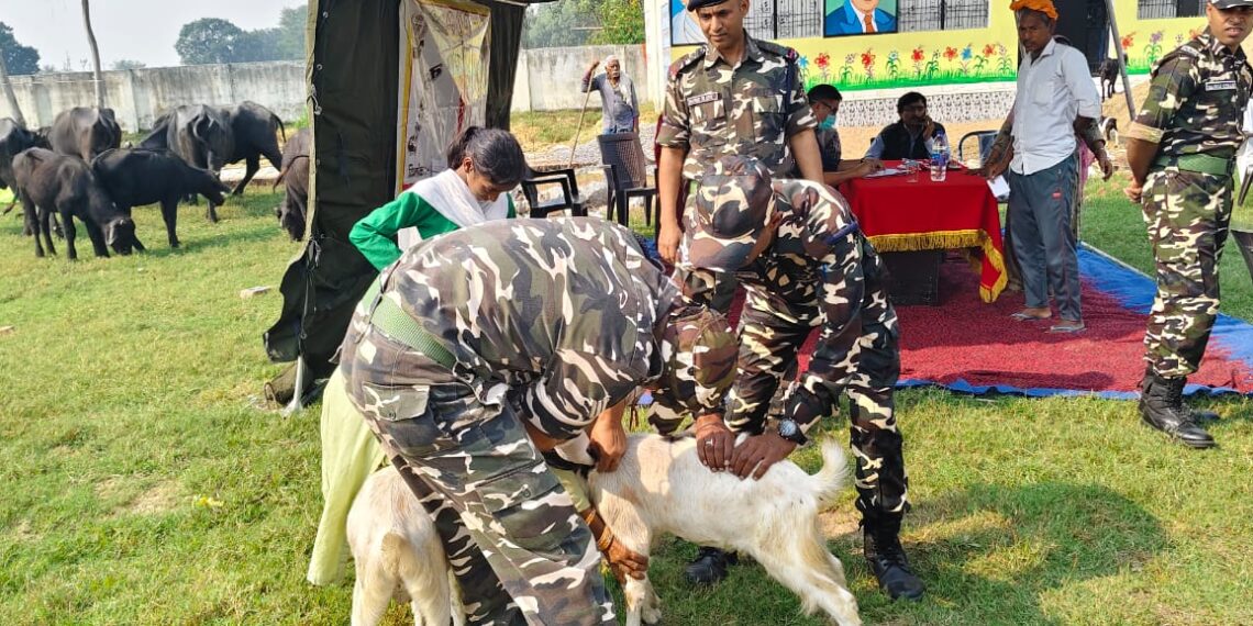 सोनौली। एसएसबी ने लगाया पशु चिकित्सा शिविर