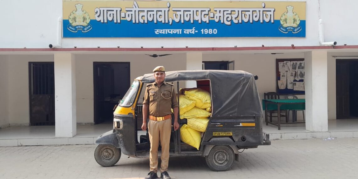 नौतनवा पुलिस ने 16 बोरी लावारिस भारतीय यूरिया किया बरामद