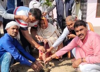 भाजपा नेता जितेंद्र जायसवाल के कैम्प कार्यालय पर रोपित किया गया फलदार वृक्ष