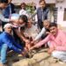भाजपा नेता जितेंद्र जायसवाल के कैम्प कार्यालय पर रोपित किया गया फलदार वृक्ष