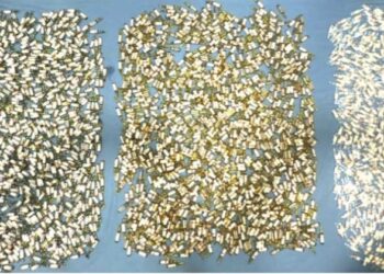 प्रतिबंधित ड्रक्स के साथ दो गिरफ्तार, भारतीय सीमा से तस्करी कर लायी गयी थी दवाएं