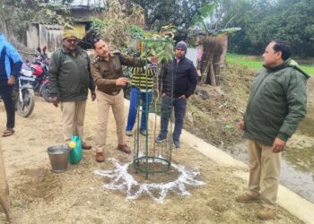 राष्ट्रीय पुरस्कार हेतु चयनित ग्राम सभा पैसिया उर्फ कोनघुसूरी में पर्यावरण संरक्षण कार्यक्रम,जामुन का पौधरोपण