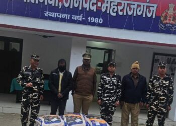 नौतनवां पुलिस व एसएसबी की संयुक्त कार्रवाई, 15 बोरी तस्करी मक्कई बरामद, एक अभियुक्त गिरफ्तार