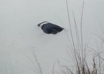 महराजगंज में अज्ञात शव नहर में मिलाः पुलिस पहचान कराने में जुटी, खंगाले जा रहे सीसीटीवी कैमरे