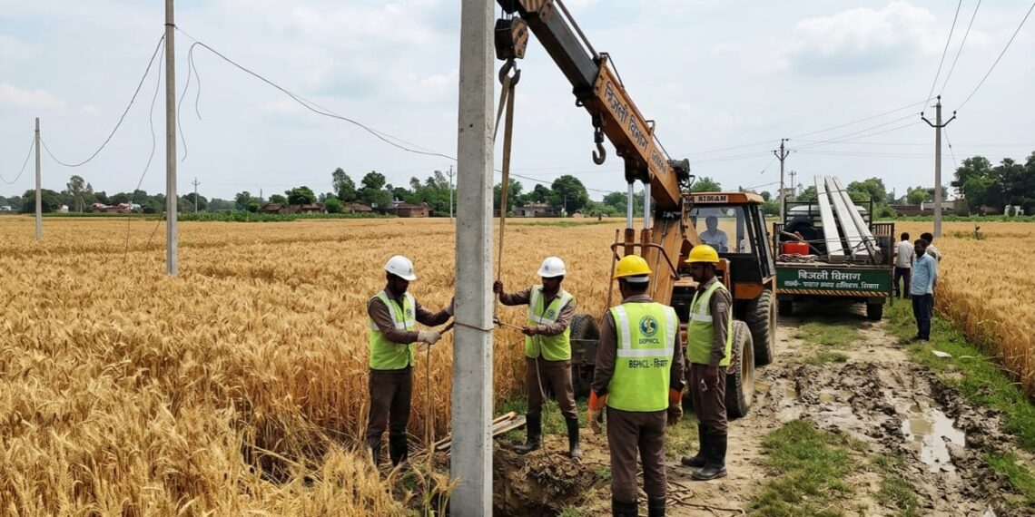 बिजली विभाग सतर्क: गेहूं की फसल बचाने के लिए सिवान में लगाए जा रहे नए पोल