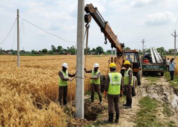 बिजली विभाग सतर्क: गेहूं की फसल बचाने के लिए सिवान में लगाए जा रहे नए पोल